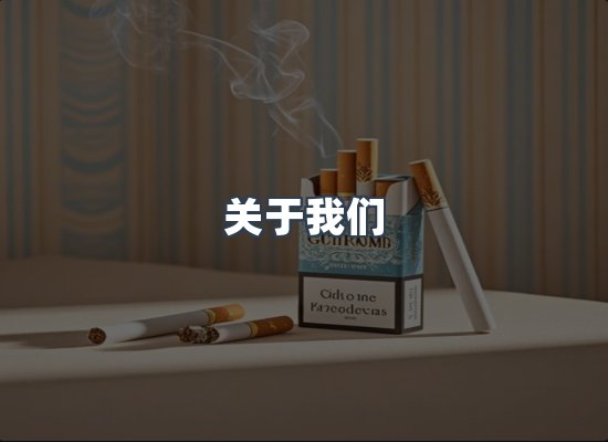 关于我们
